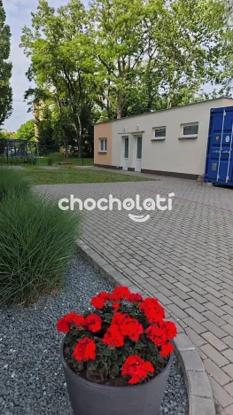 Pronájem kanceláře, Pardubice, Školská, 157 m2
