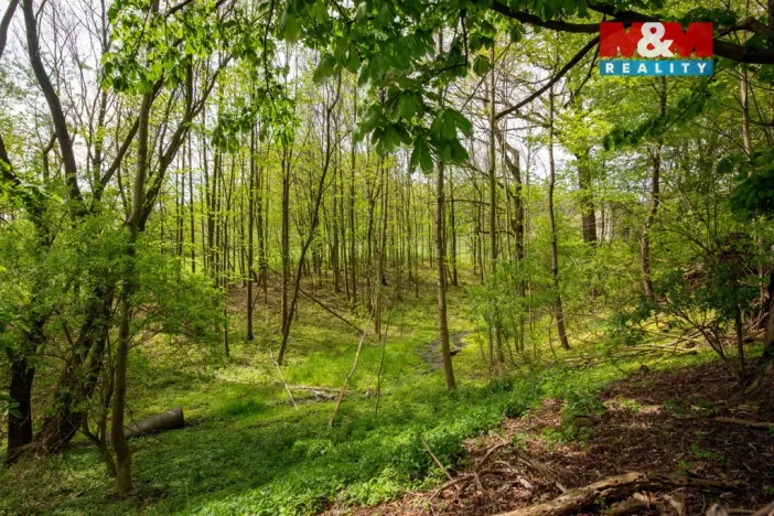Prodej rodinného domu, Šenov, Ke Statku, 140 m2