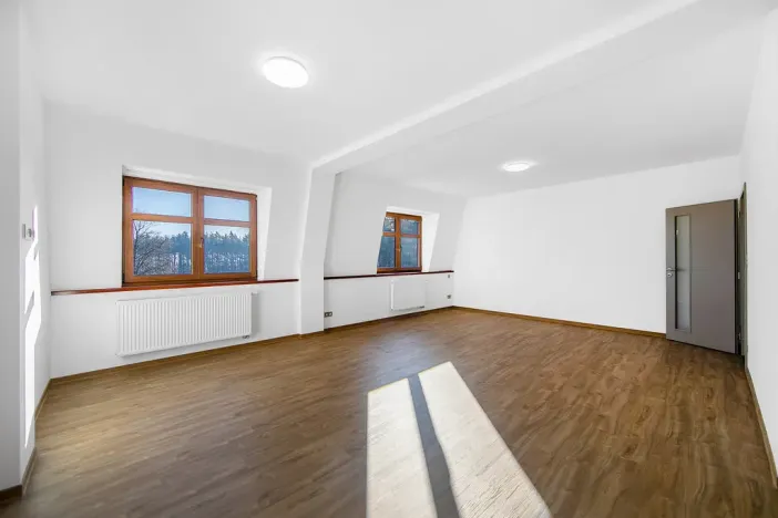 Pronájem bytu 1+kk, Plzeň - Severní Předměstí, Bolevecká, 55 m2
