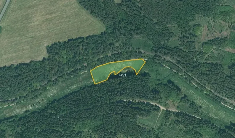 Prodej pole, Bor, 13431 m2