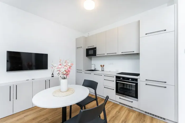 Pronájem bytu 1+kk, Praha - Vysočany, Odkolkova, 42 m2