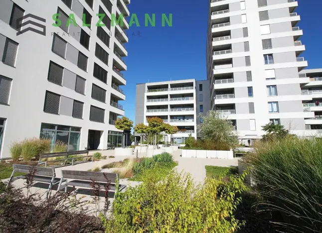 Pronájem bytu 1+kk, Plzeň, Nemocniční, 29 m2