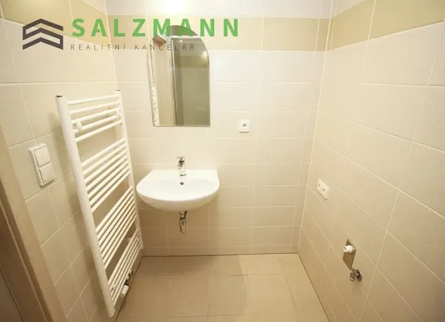 Pronájem bytu 1+kk, Plzeň, Nemocniční, 29 m2