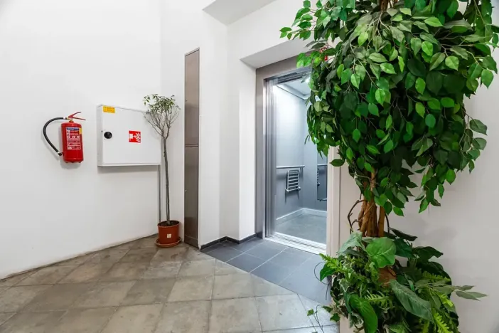 Prodej bytu 1+kk, Praha - Karlín, Peckova, 77 m2