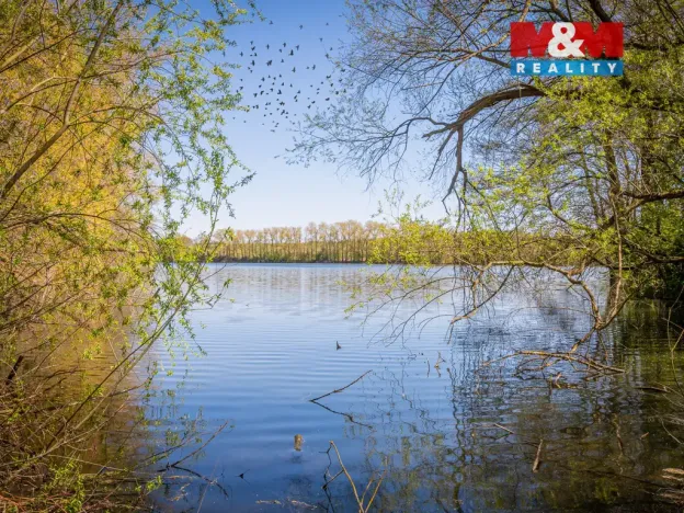 Prodej chaty, Bystřice, Semovická, 13 m2