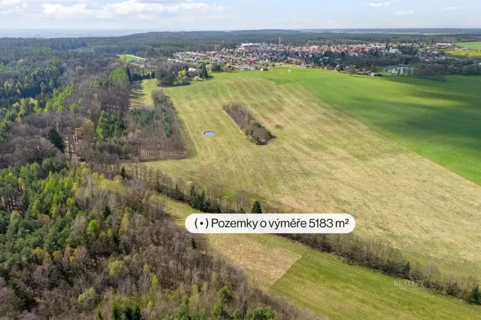 Prodej rodinného domu, Horní Jelení, Lesní, 100 m2