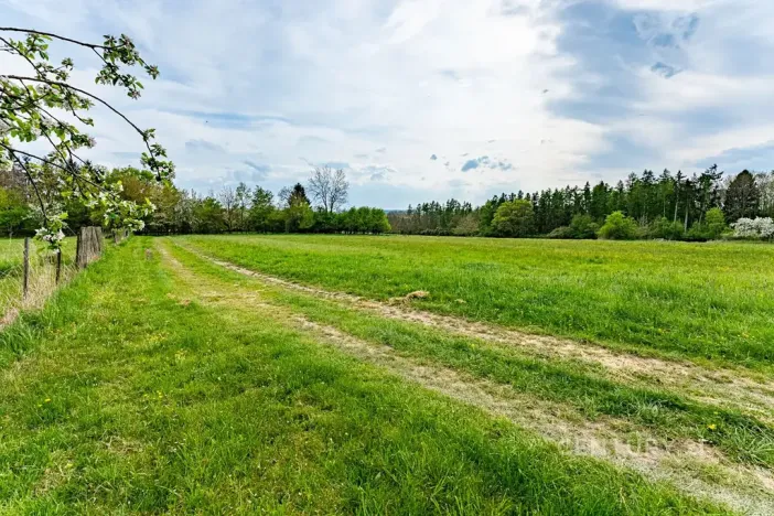 Prodej zemědělské usedlosti, Loket, 80 m2