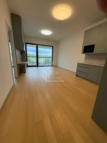 Pronájem bytu 2+kk, Praha - Holešovice, Jankovcova, 69 m2