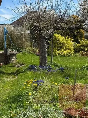 Prodej pozemku pro bydlení, Svojetice, Kamenická, 1409 m2
