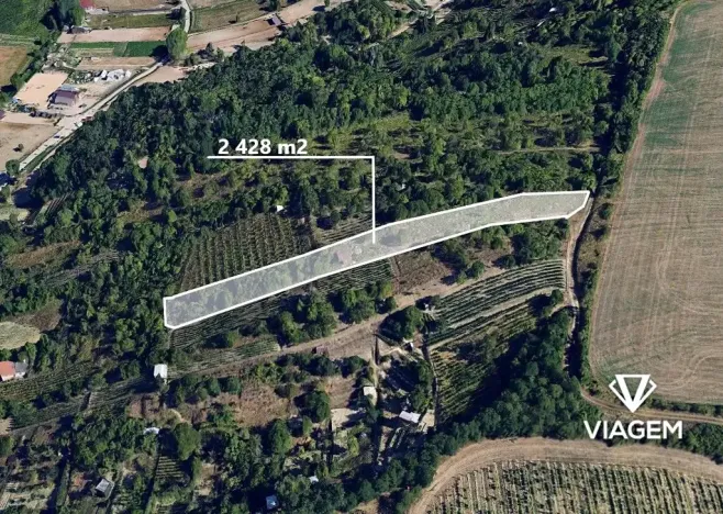Prodej podílu zahrady, Hustopeče, 809 m2