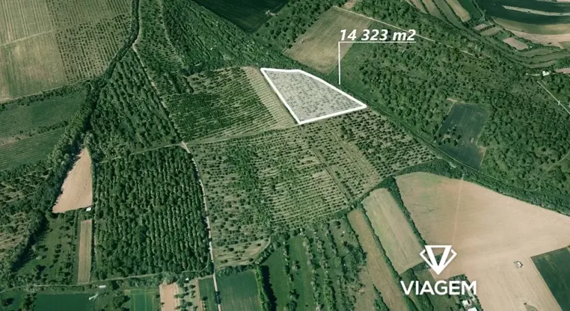 Prodej podílu sadu/vinice, Želešice, 511 m2