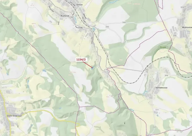 Dražba lesa, Letohrad, 3699 m2