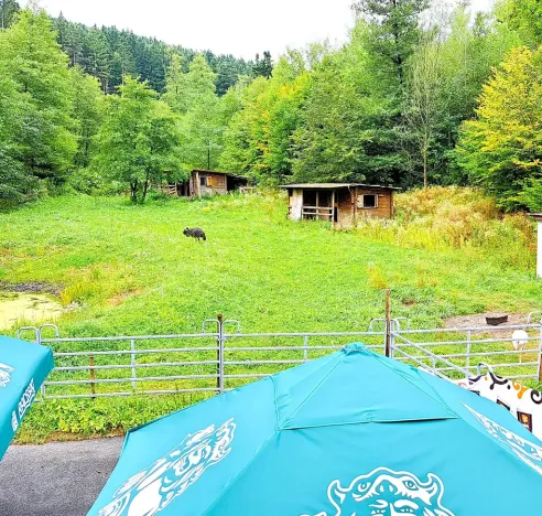 Prodej komerční nemovitosti, Valašské Klobouky, 467 m2