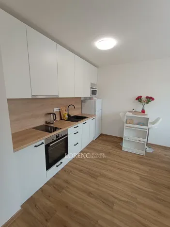 Pronájem bytu 1+kk, Hodonín, Žižkova, 23 m2