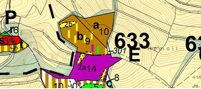 Prodej podílu lesa, Postřelmůvek, 5208 m2