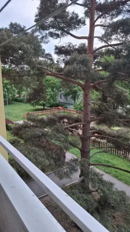 Prodej bytu 2+1, Praha - Záběhlice, Jasmínová, 53 m2