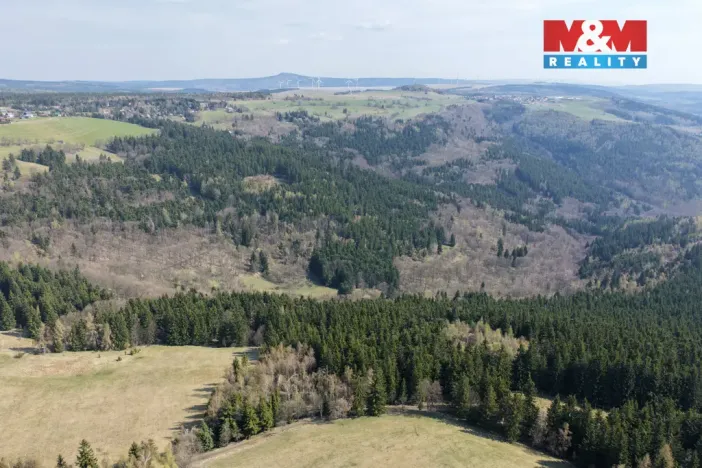 Prodej lesa, Měděnec - Mýtinka, 18821 m2