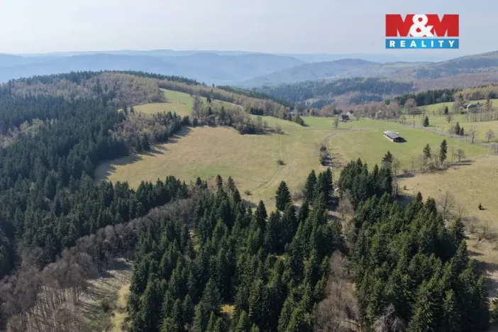 Prodej lesa, Měděnec - Mýtinka, 18821 m2