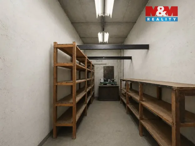 Pronájem výrobních prostor, Praskačka, 95 m2