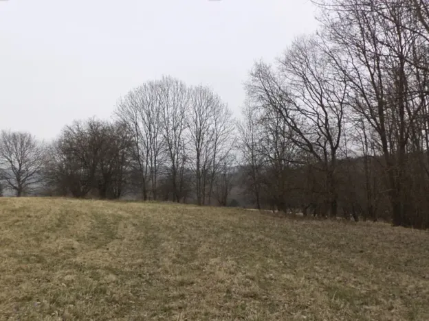 Dražba louky, Malečov, 939 m2
