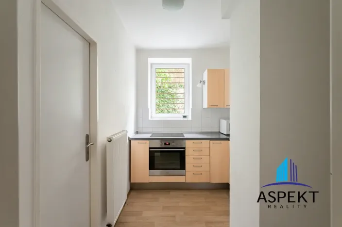 Pronájem bytu 1+1, Praha - Podolí, U podolského hřbitova, 30 m2