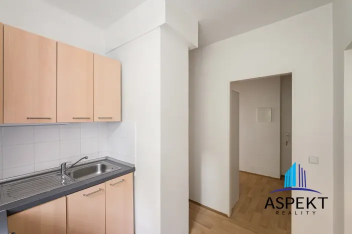 Pronájem bytu 1+1, Praha - Podolí, U podolského hřbitova, 30 m2