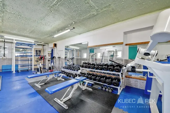 Prodej komerční nemovitosti, Soběslav, 514 m2