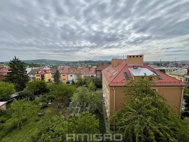 Prodej bytu 1+1, Brno, Merhautova, 48 m2