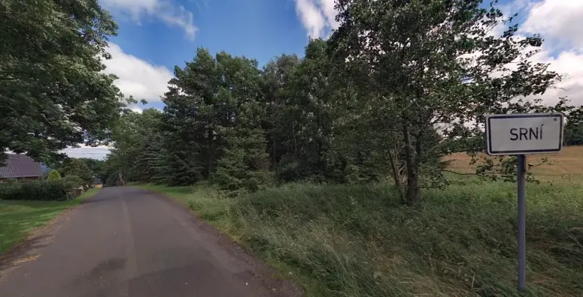 Prodej louky, Stráž nad Ohří, 9519 m2