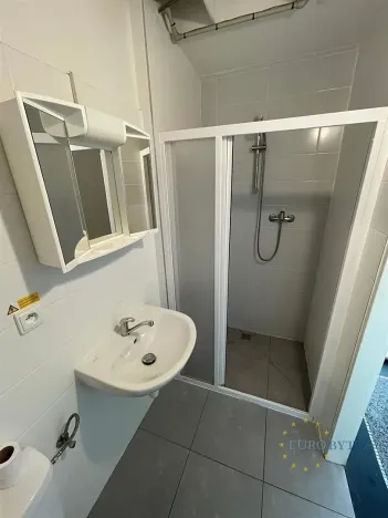 Pronájem bytu 1+kk, Praha - Nusle, V Horkách, 35 m2