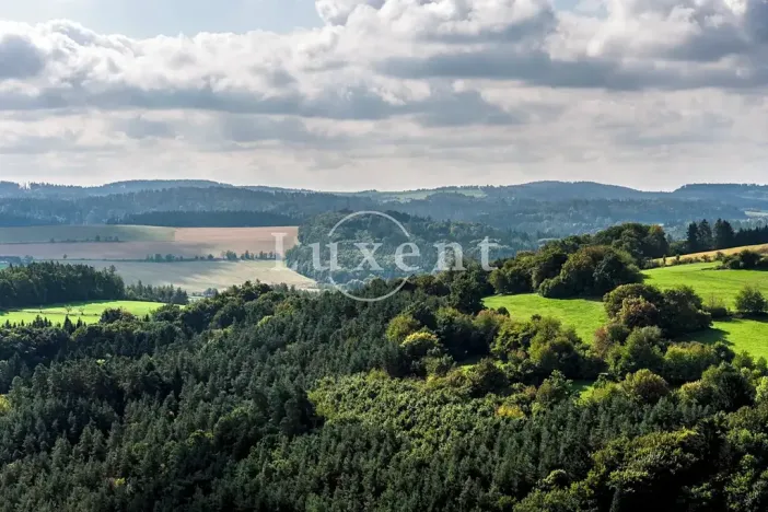 Prodej komerční nemovitosti, Stříbrná Skalice, 1700 m2
