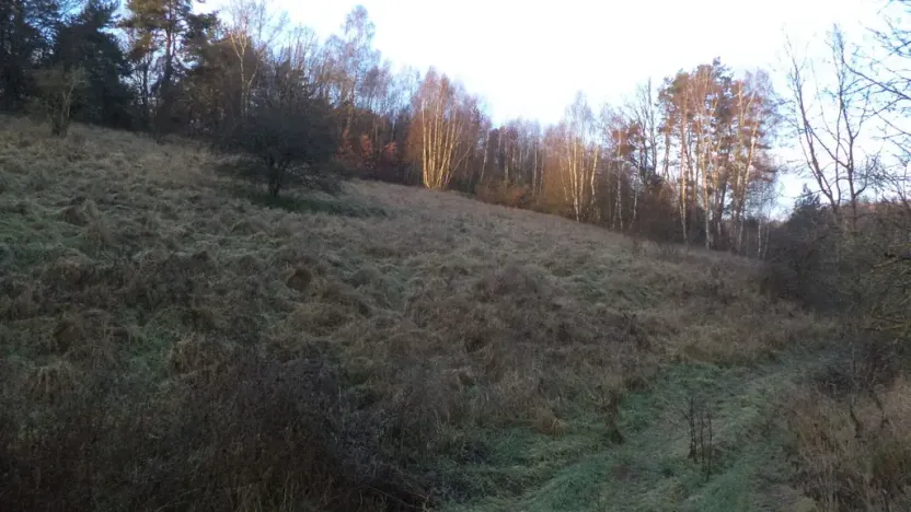 Prodej pole, Blíževedly, 2887 m2