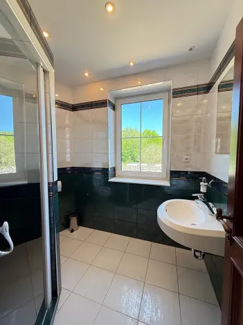 Pronájem vily, Nový Knín, 450 m2