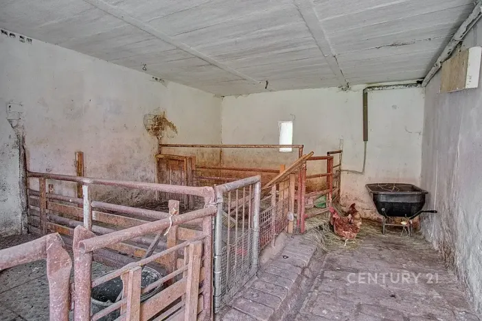 Prodej zemědělské usedlosti, Barchovice, 105 m2