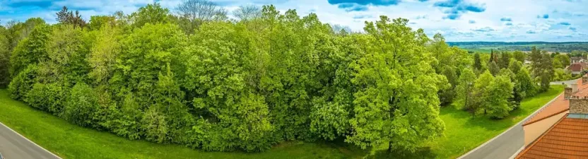 Prodej bytu 2+1, Pacov, Na Blatech, 54 m2