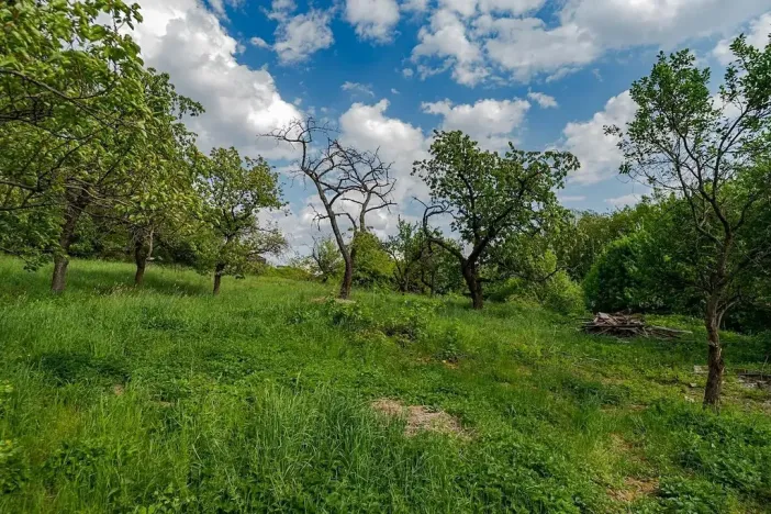 Prodej rodinného domu, Veliny, 157 m2
