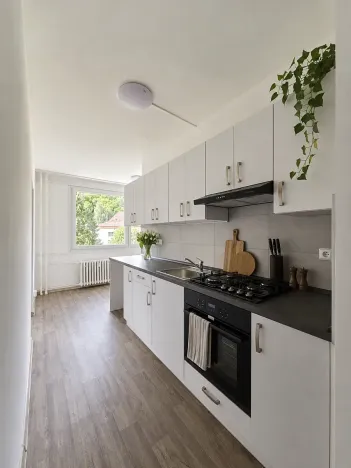 Pronájem bytu 3+1, Litvínov, Mládežnická, 82 m2