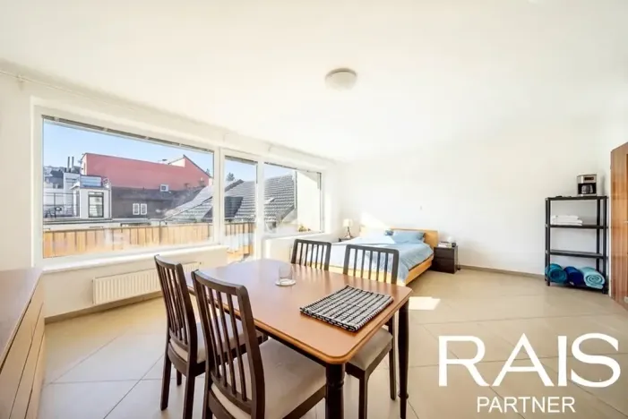 Prodej bytu 2+kk, Brno, Hálkova, 55 m2