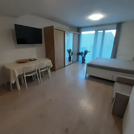 Pronájem bytu 1+kk, Praha - Žižkov, Hartigova, 37 m2