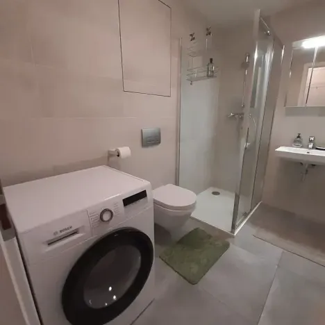Pronájem bytu 1+kk, Praha - Žižkov, Hartigova, 37 m2