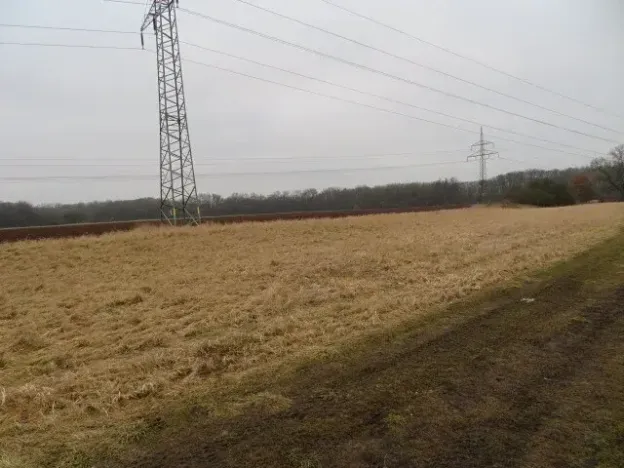 Dražba pole, Tišice, 1831 m2