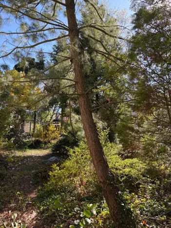 Prodej rodinného domu, Mnichovo Hradiště, Nad Skalou, 150 m2