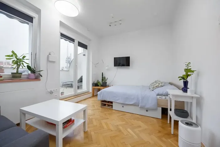 Pronájem bytu 1+1, Praha - Žižkov, Baranova, 49 m2