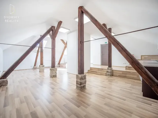 Prodej rodinného domu, Mladá Boleslav, Ptácká, 305 m2