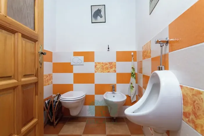 Prodej rodinného domu, Skomelno, 284 m2