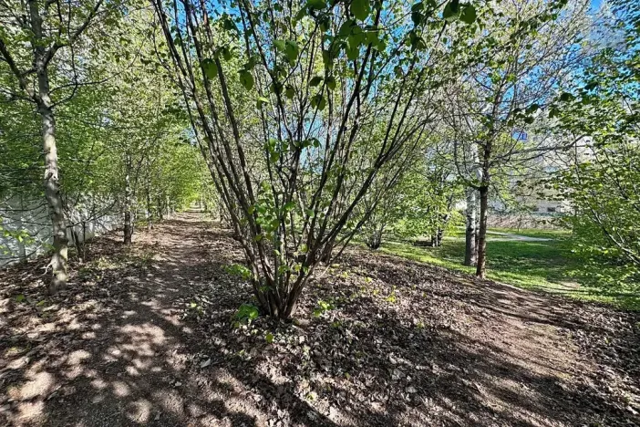 Pronájem bytu 3+kk, Brno, Řípská, 70 m2