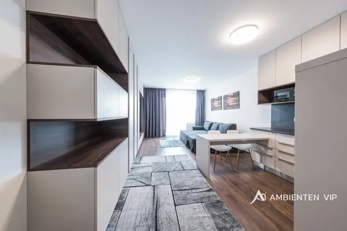 Pronájem bytu 1+kk, Brno, Reissigova, 36 m2