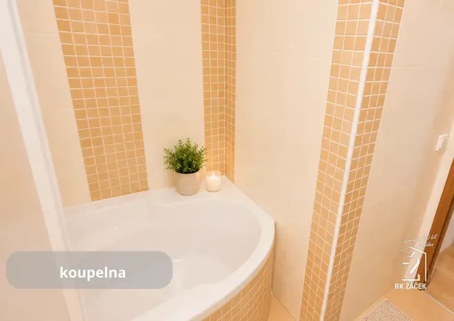 Prodej bytu 2+kk, České Budějovice, Jar. Haška, 66 m2
