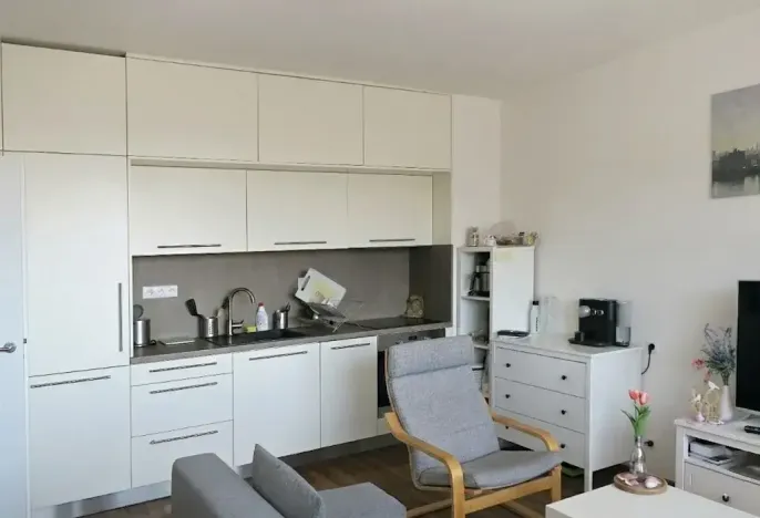 Pronájem bytu 2+kk, Brno, Rybářská, 39 m2