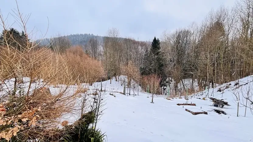 Prodej bytu 3+1, Branná, 83 m2